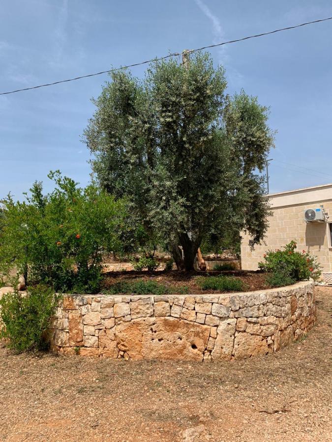 Villa Il Trullo Di Francesca Ceglie Messapica Exterior foto